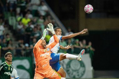 Sao Paulo (Brezilya), 10 / 30 / 2023 - BRASILEIRO vs Sao Paulo PALMEIRAS, bu Cumartesi, 30 Ekim 2023. 