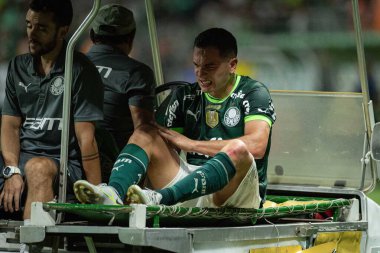 Sao Paulo (Brezilya), 10 / 30 / 2023 - BRASILEIRO vs Sao Paulo PALMEIRAS, bu Cumartesi, 30 Ekim 2023. 