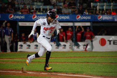 MARACAIBO, VENEZUELA - 31 / 10 / 2023: Aguilas Cibaenas vs Tubaroes beyzbol maçı