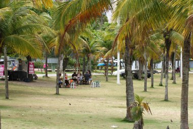 VITORIA (ES), Brezilya 02 / 11 / 2023 - Vitoria ES 'teki Canto plajında ve Praia' da bu Perşembe Ruhlar Günü 'nde (02 / 11 / 2023) iyi bir banyo hareketi var () . 