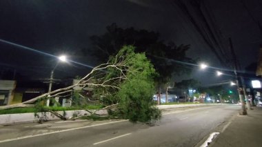 SAO PAULO, Brezilya - 11 / 03 / 2023: Piraporinha bölgesindeki Avenida M Boi Mrim merkez koridorunda devrilen ağaçlar, Sao Paulo ve trafik ışıkları söndü.
