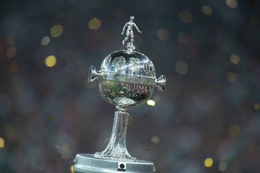 RIO DE JANEIRO (RJ), Brezilya 04 / 11 / 2023 - LIBERTADORES 2023 FLUMINENSE Rio takımının yarışmadaki ilk şampiyonluğu oldu. 