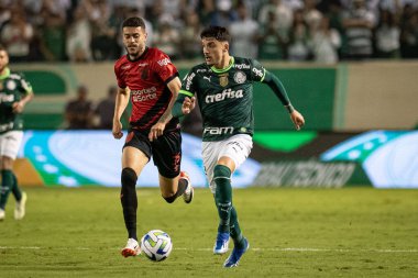 Barueri (SP), Brezilya 4 / 11 / 2023 - BRASILEIRO, Sao Paulo 'da PALMEIRAS' a karşı, bu Cumartesi, 4 Kasım 2023. 