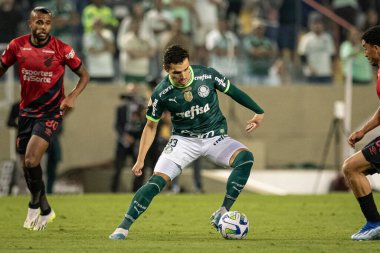 Barueri (SP), Brezilya 4 / 11 / 2023 - BRASILEIRO, Sao Paulo 'da PALMEIRAS' a karşı, bu Cumartesi, 4 Kasım 2023. 