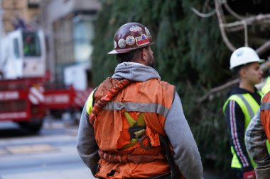 Noel ağacı Rockefeller Center 'a geliyor. 11 Kasım 2023, New York, ABD: Manhattan şehir merkezindeki Rockefeller Center Noel ağacının dün gece gelmesi tatil sezonunun başlangıcı oldu. Vestal 'dan selamlar. 
