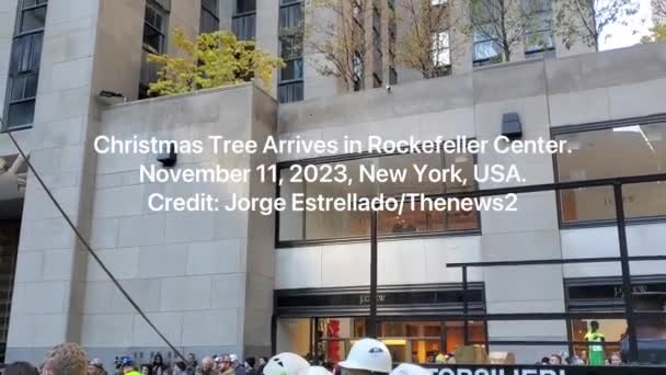 Julgran Anländer Till Rockefeller Center November 2023 New York Usa — Stockvideo