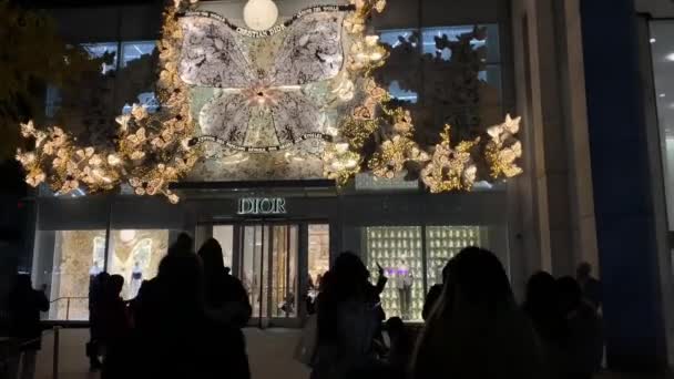 Christain Dior Christmas Decorations Attract Tourists New York November 2023 — Stock Video