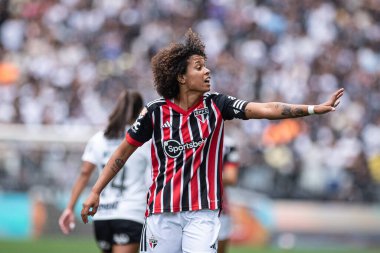 Sao Paulo (SP), Brezilya 11 / 26 / 2023 - Neo Quimica Arena, Itaquera, Sao Paulo 'nun doğu bölgesi, bu Pazar, 26 Kasım 2023.