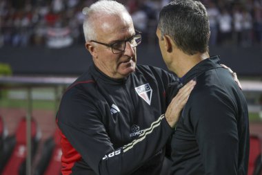 Sao Paulo (SP), 11 / 26 / 2023 - Sao Paulo-SP 'nin güneyine karşı BRAZILIAN, 26 Kasım 2023 Pazar günü öğleden sonra.