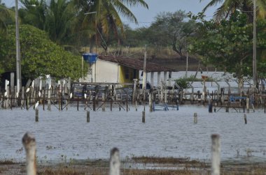 Sao Jose do Mipibi (RN), Brezilya 11 / 28 / 2023 - Brezilya ve başkentte en büyük hacme sahip olan Sao Jose do Mipibu Rio Grande do Norte 'de Br 101 üzerinde nehir taşkınları kaydedildi - Natal RN birçok sel noktası kaydedildi. Belediye Başkanı 