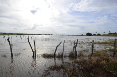 Sao Jose do Mipibi (RN), Brezilya 11 / 28 / 2023 - Brezilya ve başkentte en büyük hacme sahip olan Sao Jose do Mipibu Rio Grande do Norte 'de Br 101 üzerinde nehir taşkınları kaydedildi - Natal RN birçok sel noktası kaydedildi. Belediye Başkanı 
