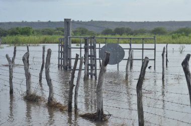 Sao Jose do Mipibi (RN), Brezilya 11 / 28 / 2023 - Brezilya ve başkentte en büyük hacme sahip olan Sao Jose do Mipibu Rio Grande do Norte 'de Br 101 üzerinde nehir taşkınları kaydedildi - Natal RN birçok sel noktası kaydedildi. Belediye Başkanı 