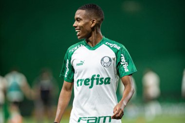 Sao Paulo (SP), Brezilya 11 / 29 / 2023 - BRASILEIRO vs PALMEIRAS Sao Paulo-SP 'nin batı bölgesinde, bu Çarşamba gecesi, 29 Kasım 2023. 