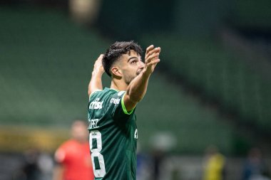 Sao Paulo (SP), Brezilya 11 / 29 / 2023 - BRASILEIRO vs PALMEIRAS Sao Paulo-SP 'nin batı bölgesinde, bu Çarşamba gecesi, 29 Kasım 2023. 