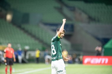 Sao Paulo (SP), Brezilya 11 / 29 / 2023 - BRASILEIRO vs PALMEIRAS Sao Paulo-SP 'nin batı bölgesinde, bu Çarşamba gecesi, 29 Kasım 2023. 