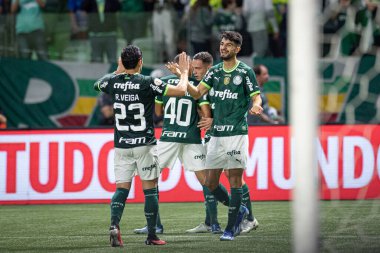 Sao Paulo (SP), Brezilya 11 / 29 / 2023 - BRASILEIRO vs PALMEIRAS Sao Paulo-SP 'nin batı bölgesinde, bu Çarşamba gecesi, 29 Kasım 2023. 