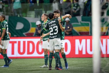 Sao Paulo (SP), Brezilya 11 / 29 / 2023 - BRASILEIRO vs PALMEIRAS Sao Paulo-SP 'nin batı bölgesinde, bu Çarşamba gecesi, 29 Kasım 2023. 