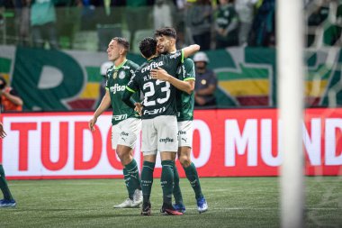 Sao Paulo (SP), Brezilya 11 / 29 / 2023 - BRASILEIRO vs PALMEIRAS Sao Paulo-SP 'nin batı bölgesinde, bu Çarşamba gecesi, 29 Kasım 2023. 