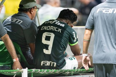 Sao Paulo (SP), Brezilya 11 / 29 / 2023 - BRASILEIRO vs PALMEIRAS Sao Paulo-SP 'nin batı bölgesinde, bu Çarşamba gecesi, 29 Kasım 2023. 