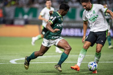 Sao Paulo (SP), Brezilya 11 / 29 / 2023 - BRASILEIRO vs PALMEIRAS Sao Paulo-SP 'nin batı bölgesinde, bu Çarşamba gecesi, 29 Kasım 2023. 