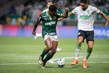 Sao Paulo (SP), Brezilya 11 / 29 / 2023 - BRASILEIRO vs PALMEIRAS Sao Paulo-SP 'nin batı bölgesinde, bu Çarşamba gecesi, 29 Kasım 2023. 