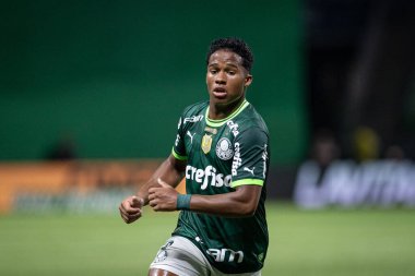 Sao Paulo (SP), Brezilya 11 / 29 / 2023 - BRASILEIRO vs PALMEIRAS Sao Paulo-SP 'nin batı bölgesinde, bu Çarşamba gecesi, 29 Kasım 2023. 
