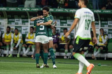 Sao Paulo (SP), Brezilya 11 / 29 / 2023 - BRASILEIRO vs PALMEIRAS Sao Paulo-SP 'nin batı bölgesinde, bu Çarşamba gecesi, 29 Kasım 2023. 