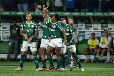 Sao Paulo (SP), Brezilya 11 / 29 / 2023 - BRASILEIRO vs PALMEIRAS Sao Paulo-SP 'nin batı bölgesinde, bu Çarşamba gecesi, 29 Kasım 2023. 