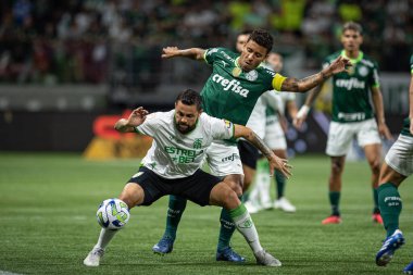 Sao Paulo (SP), Brezilya 11 / 29 / 2023 - BRASILEIRO vs PALMEIRAS Sao Paulo-SP 'nin batı bölgesinde, bu Çarşamba gecesi, 29 Kasım 2023. 