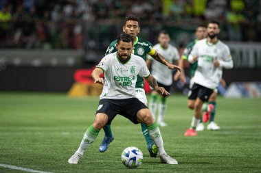 Sao Paulo (SP), Brezilya 11 / 29 / 2023 - BRASILEIRO vs PALMEIRAS Sao Paulo-SP 'nin batı bölgesinde, bu Çarşamba gecesi, 29 Kasım 2023. 