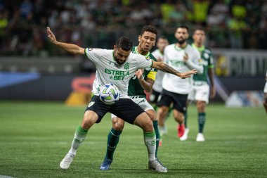 Sao Paulo (SP), Brezilya 11 / 29 / 2023 - BRASILEIRO vs PALMEIRAS Sao Paulo-SP 'nin batı bölgesinde, bu Çarşamba gecesi, 29 Kasım 2023. 