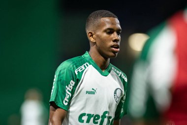 Sao Paulo (SP), Brezilya 11 / 29 / 2023 - BRASILEIRO vs PALMEIRAS Sao Paulo-SP 'nin batı bölgesinde, bu Çarşamba gecesi, 29 Kasım 2023. 