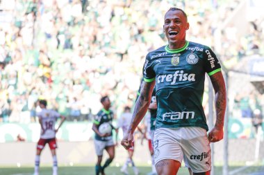 Sao Paulo (SP), Brezilya 12 / 03 / 2023 - BRASILEIRO, Sao Paulo-SP 'nin batı bölgesinde PALMEIRAS' a karşı, bu Pazar, 3 Aralık 2023. 