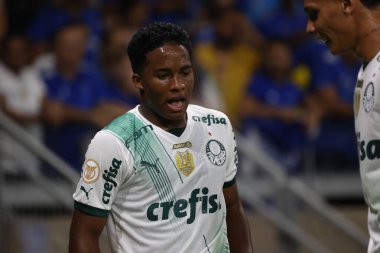 Belo Horizonte (MG), 12 / 06 / 2023 - Palmeiras 'lı Endrick golünü atıyor ve Cruzeiro ile Palmeiras arasındaki maçta Brezilya Şampiyonası' nın 38. ve son raundunda geçerli olan golünü kutluyor 