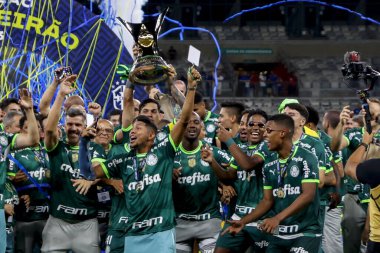 Belo Horizonte (MG), Brezilya 12 / 06 / 2023 - Palmeiras, Cruzeiro ile Palmeiras arasında oynanan ve 38. raunt için geçerli olan 12. 