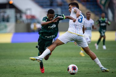 Barueri (SP), Brazil 01/04/2024 - COPA SP/PALMEIRAS Arena Barueri, in Barueri-SP, on the night of this Thursday, January 4, 2024. 