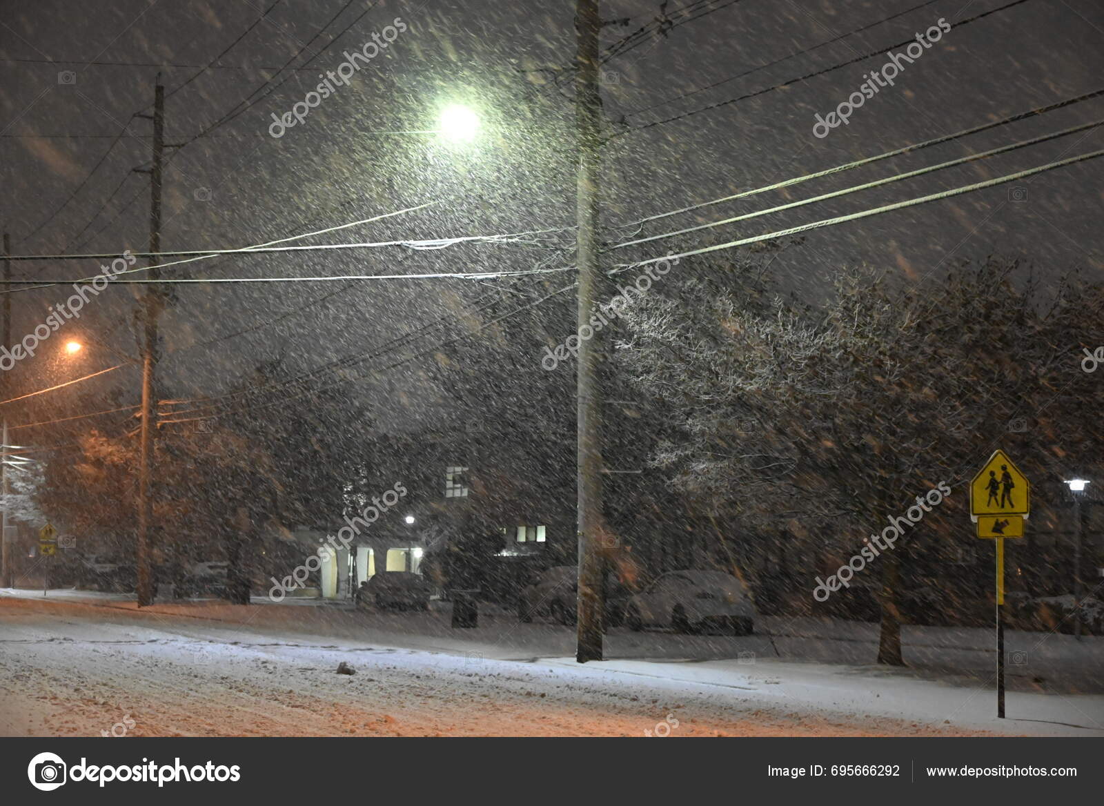 new york temperature january 2024