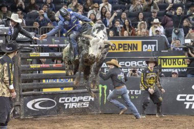 2024 Profesyonel Boğa Binicileri Bahçede. 6 Ocak 2024, New York, New York, ABD: Ednelio Almeida, profesyonel Bull Riders 2024 'ün ikinci turunda Bad Spider' a biniyor.