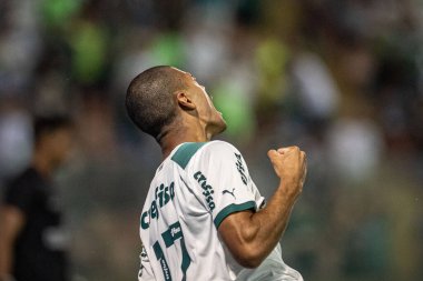 Barueri (SP), 01 / 07 / 2024 - COPA SP / PALMEIRAS, Arena Barueri, Barueri-SP, bu Pazar gecesi, 7 Aralık 2023. (Fotoğraf: Ronaldo Barreto / Thenews2 / Depozito Fotoğrafları) 