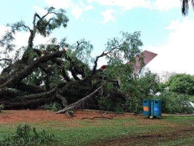 Sao Paulo (SP), Brezilya 01 / 09 / 2024 - LEISURE / RAINS / IBIRAPUERA - Ibirapuera Parkı, ikinci sırada Sao Paulo 'nun başkentini vuran sağanak yağış nedeniyle bu akşam saat 14.30 sularında tekrar halka açıldı (8).).