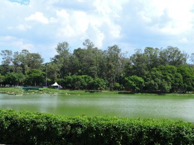 Sao Paulo (SP), Brezilya 01 / 09 / 2024 - LEISURE / RAINS / IBIRAPUERA - Ibirapuera Parkı, ikinci sırada Sao Paulo 'nun başkentini vuran sağanak yağış nedeniyle bu akşam saat 14.30 sularında tekrar halka açıldı (8).).