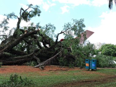 Sao Paulo (SP), Brezilya 01 / 09 / 2024 - Ibirapuera Parkı, ikinci sırada Sao Paulo 'nun başkentini vuran sağanak yağış nedeniyle bu Salı (8) saat 14.30 sularında kapatıldıktan sonra kamuoyuna yeniden açıldı (9).)
