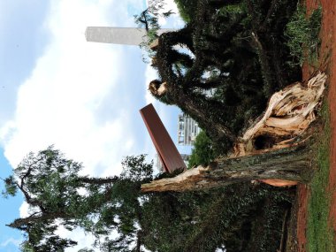 Sao Paulo (SP), Brezilya 01 / 09 / 2024 - Ibirapuera Parkı, ikinci sırada Sao Paulo 'nun başkentini vuran sağanak yağış nedeniyle bu Salı (8) saat 14.30 sularında kapatıldıktan sonra kamuoyuna yeniden açıldı (9).)