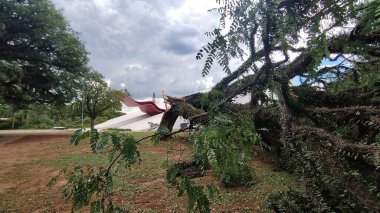 Sao Paulo (SP), Brezilya 01 / 09 / 2024 - Ibirapuera Parkı, ikinci sırada Sao Paulo 'nun başkentini vuran sağanak yağış nedeniyle bu Salı (8) saat 14.30 sularında kapatıldıktan sonra kamuoyuna yeniden açıldı (9).)