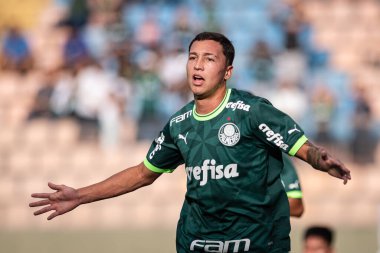 Barueri (SP), 07 / 01 / 2024 - COPA SP vs PALMEIRAS, bu Çarşamba akşamı, 10 Aralık 2023