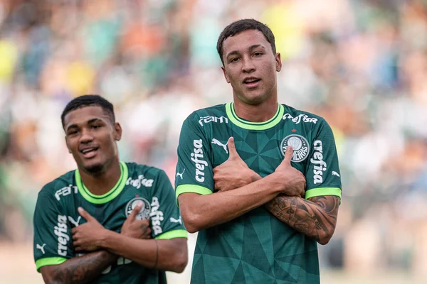 Barueri 2024 Copa Palmeiras Abend Dieses Mittwoch Dezember 2023 — Stockfoto