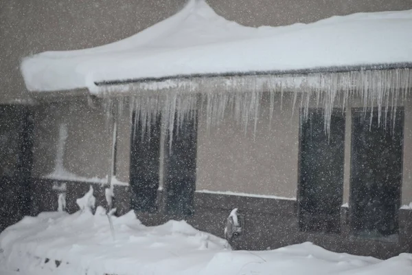 Blizzard Trifft Bundesstaat Iowa Cedar Rapids Iowa Januar 2024 Cedar — Stockfoto