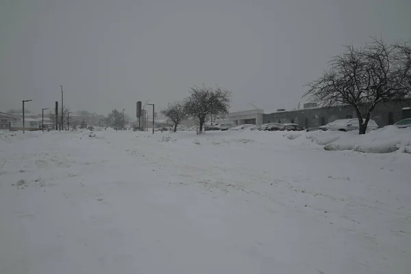 Blizzard Trifft Bundesstaat Iowa Cedar Rapids Iowa Januar 2024 Cedar — Stockfoto