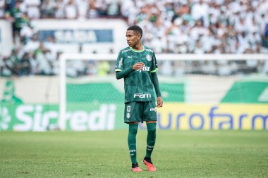 Barueri (SP), Brezilya 01 / 13 / 2024 - COPA SP vs PALMEIRAS, 13 Ocak 2024.