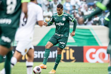 Barueri (SP), Brezilya 01 / 13 / 2024 - COPA SP vs PALMEIRAS, 13 Ocak 2024.